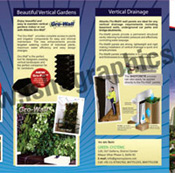 Brochure Designing and Printing